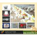 best-selling chicken poultry drinking system for broiler and breeder